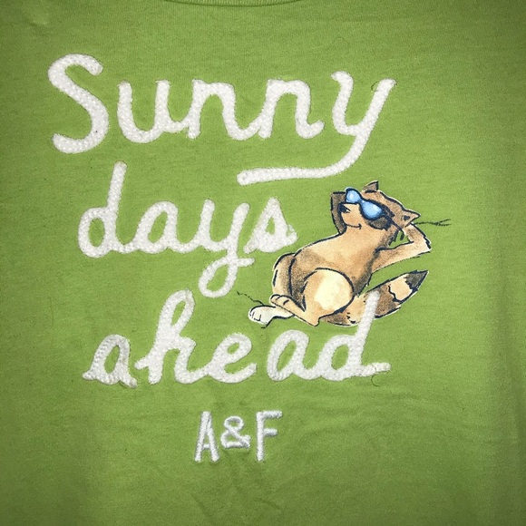 Abercrombie & Fitch green women’s tee shirt S - Picture 2 of 5